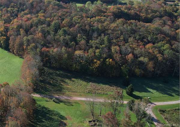 3 Acres of Residential Land for Sale in Cochecton, New York