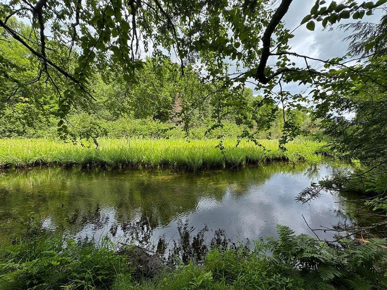 8 Acres of Residential Land for Sale in Mercer, Wisconsin