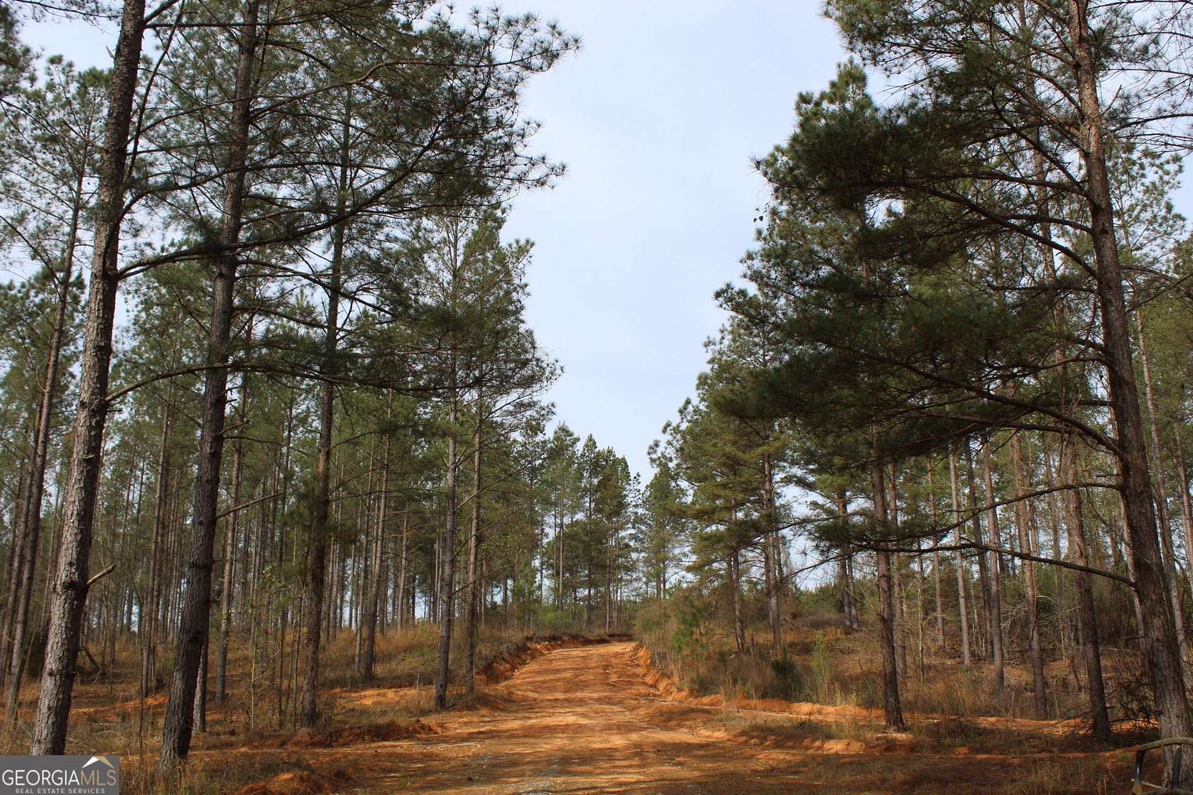 205 Acres of Recreational Land for Sale in Greenville, Georgia