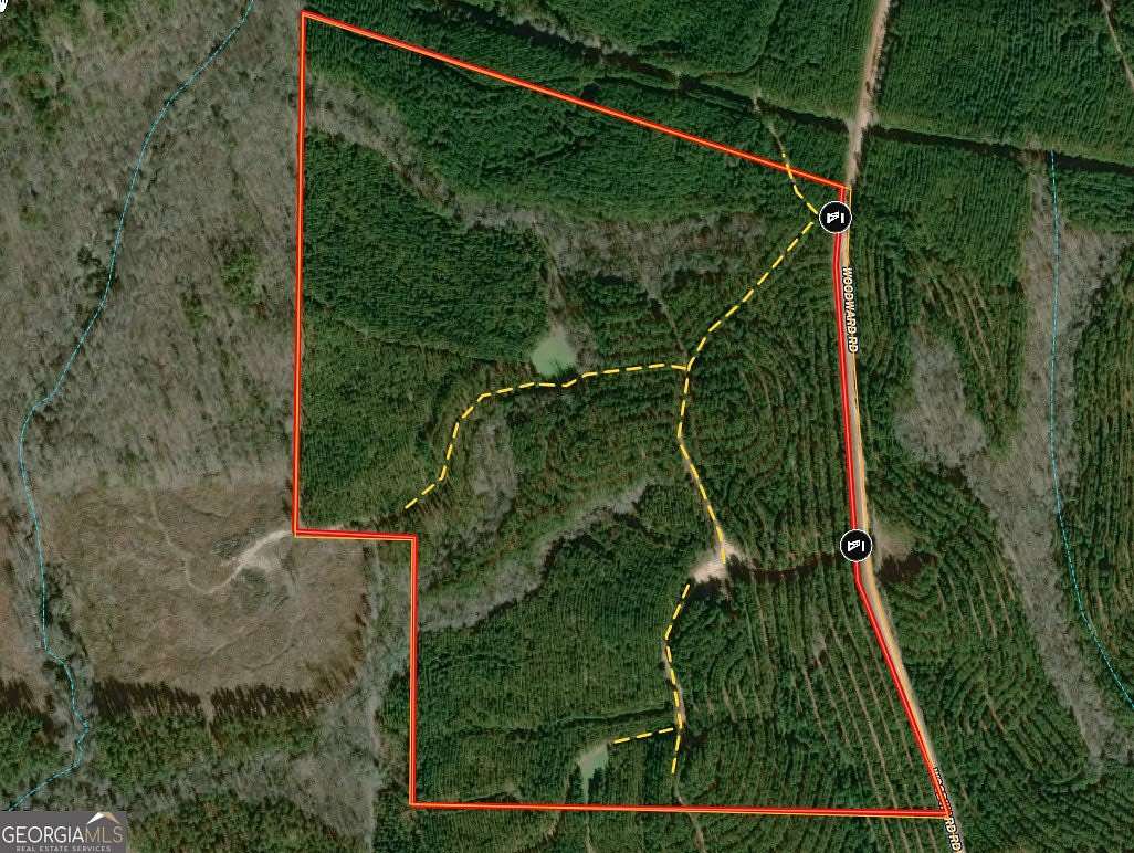 105 Acres of Recreational Land for Sale in Greenville, Georgia