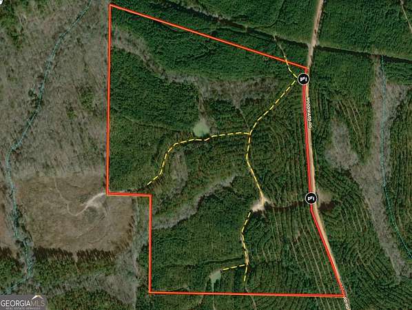 105 Acres of Recreational Land for Sale in Greenville, Georgia