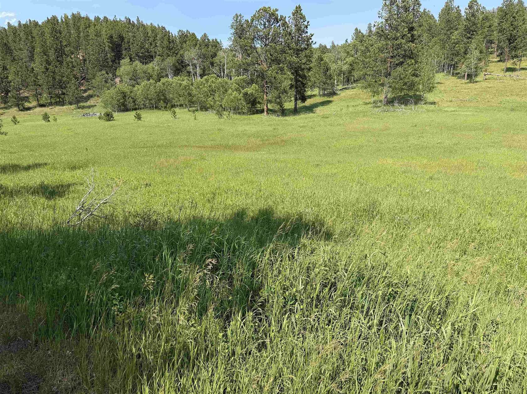 34.8 Acres of Recreational & Residential Land for Sale in Buckhorn, Wyoming