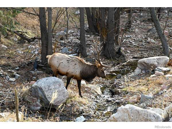 3.32 Acres of Land for Sale in Glen Haven, Colorado