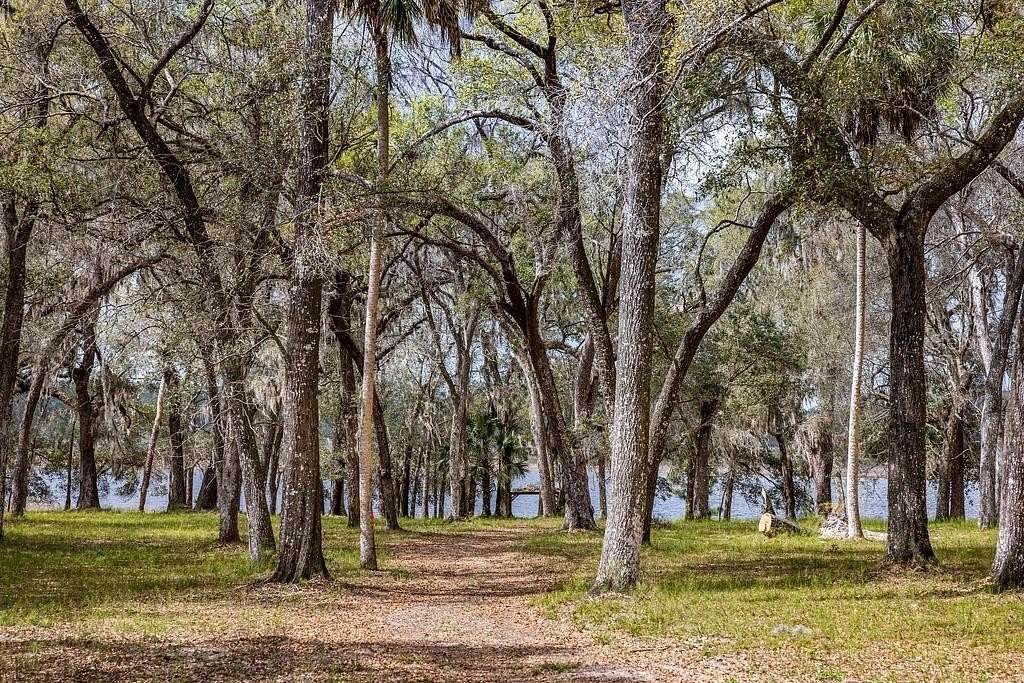 158 Acres of Land for Sale in Umatilla, Florida