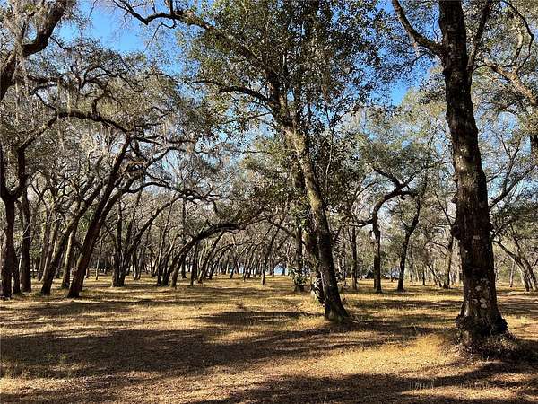 158 Acres of Land for Sale in Umatilla, Florida