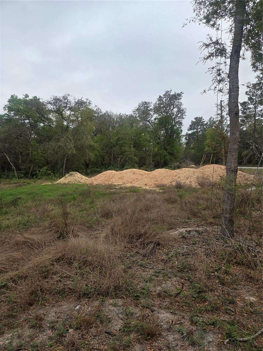 0.26 Acres of Residential Land for Sale in Ocklawaha, Florida