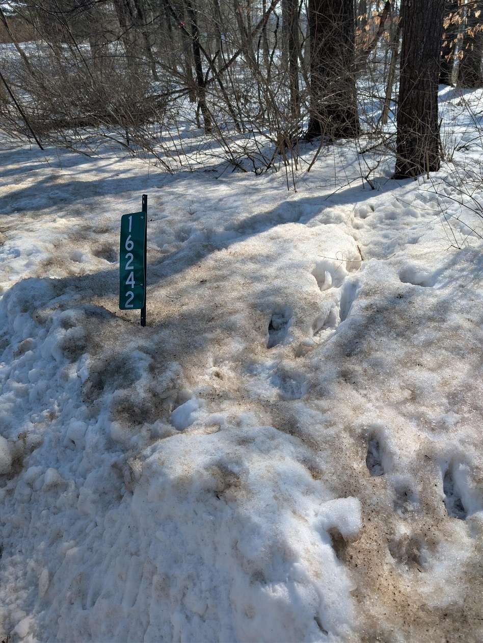 0.85 Acres of Residential Land for Sale in West Olive, Michigan