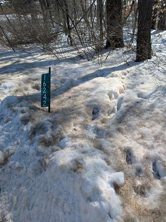 0.85 Acres of Residential Land for Sale in West Olive, Michigan