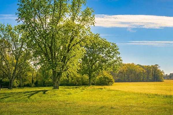 14.2 Acres of Land for Sale in Baker, Florida