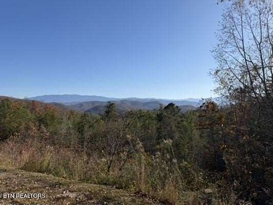 88 Acres of Land for Sale in Sevierville, Tennessee