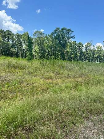 1.5 Acres of Residential Land for Sale in San Augustine, Texas