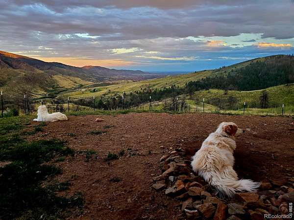 40 Acres of Recreational & Residential Land for Sale in Bellvue, Colorado