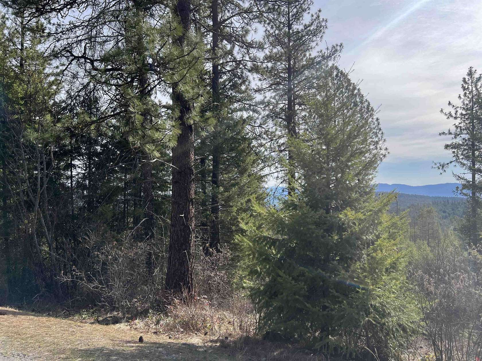 20 Acres of Recreational & Residential Land for Sale in Colville, Washington