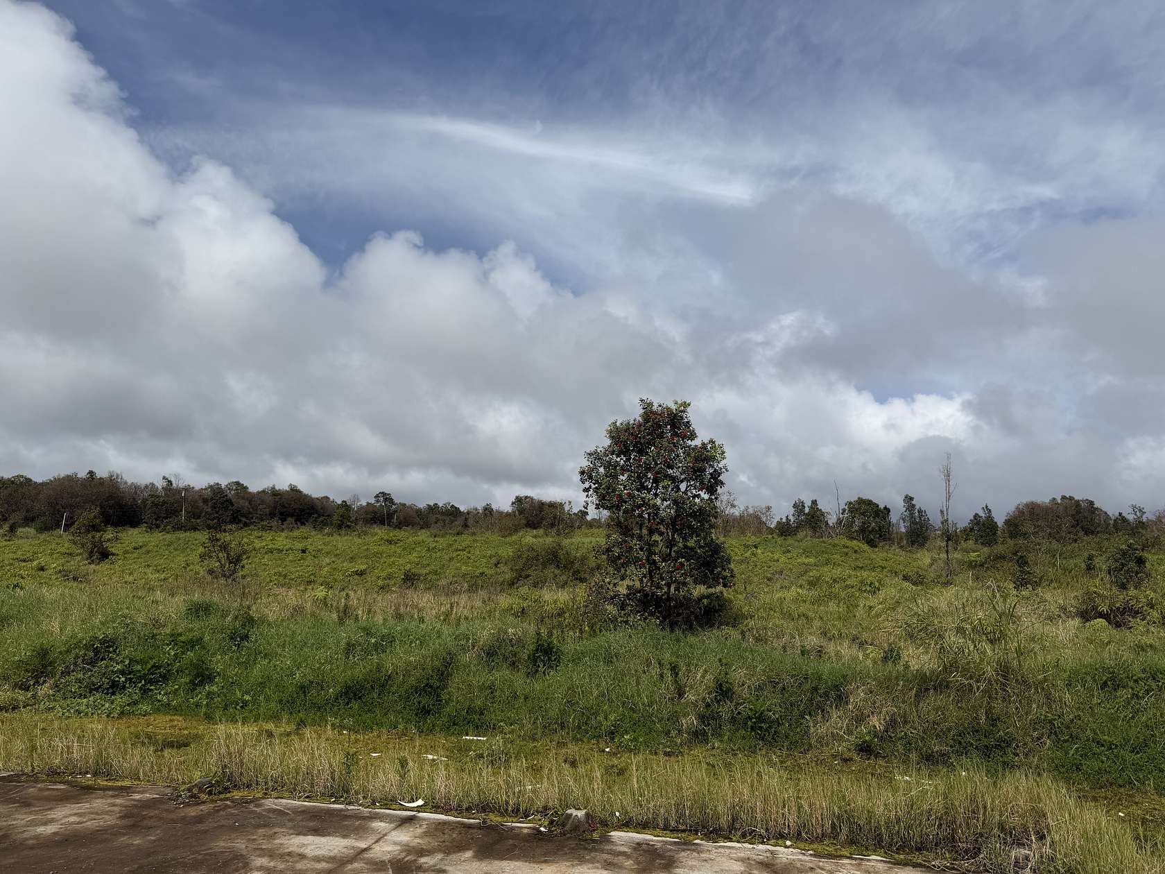 10.6 Acres of Land for Sale in Mountain View, Hawaii
