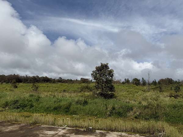 10.6 Acres of Land for Sale in Mountain View, Hawaii