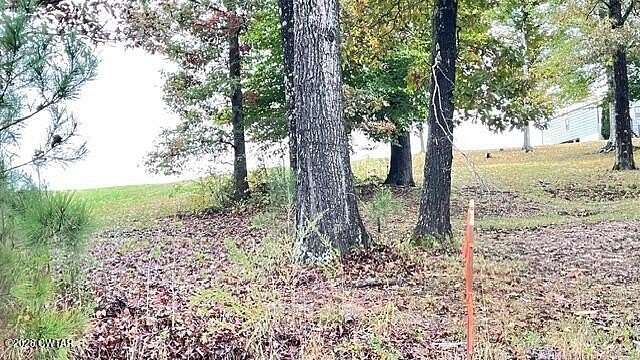 53.6 Acres of Agricultural Land for Sale in Medon, Tennessee