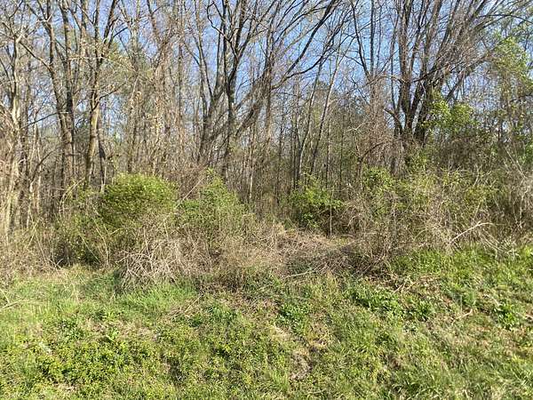 1.19 Acres of Residential Land for Sale in Morrison, Tennessee