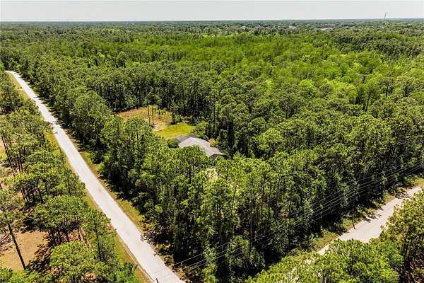 5 Acres of Residential Land for Sale in Geneva, Florida