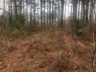 42.9 Acres of Recreational Land for Sale in Haleyville, Alabama