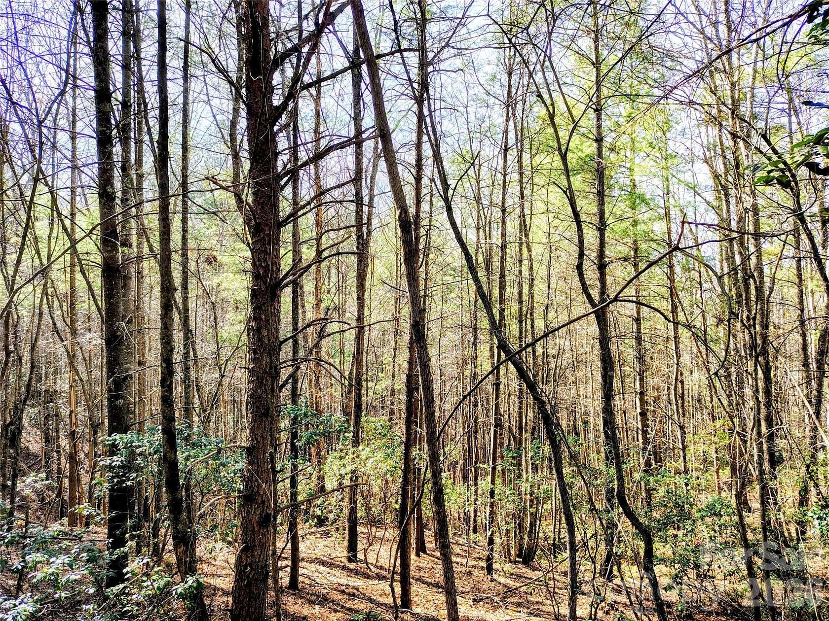 10 Acres of Residential Land for Sale in Collettsville, North Carolina