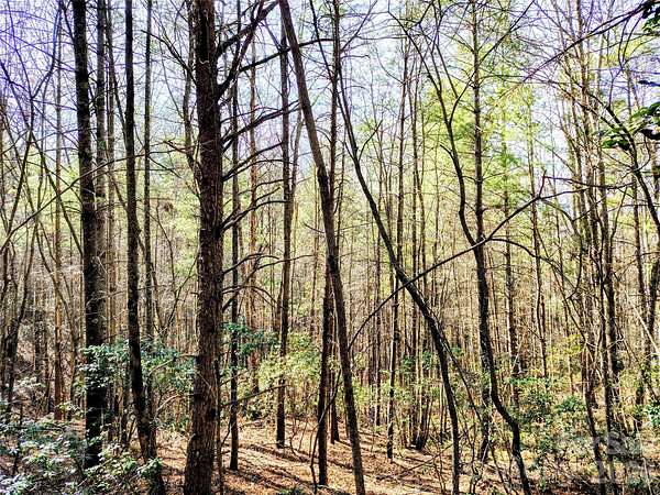 10 Acres of Residential Land for Sale in Collettsville, North Carolina