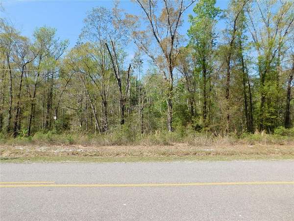 1.5 Acres of Residential Land for Sale in Hastings, Florida