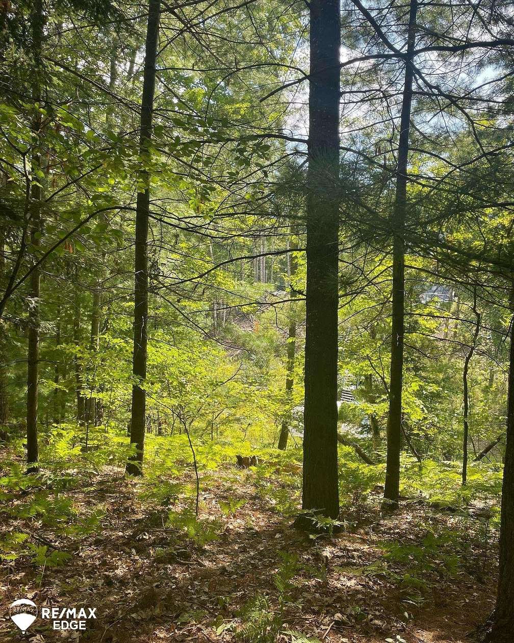 0.55 Acres of Residential Land for Sale in Alger, Michigan