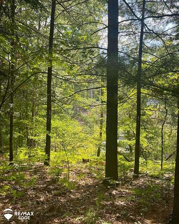 0.55 Acres of Residential Land for Sale in Alger, Michigan