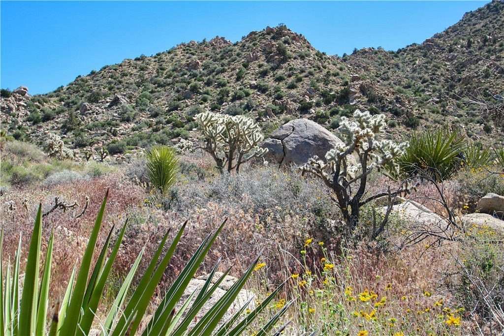 5 Acres of Residential Land for Sale in Joshua Tree, California