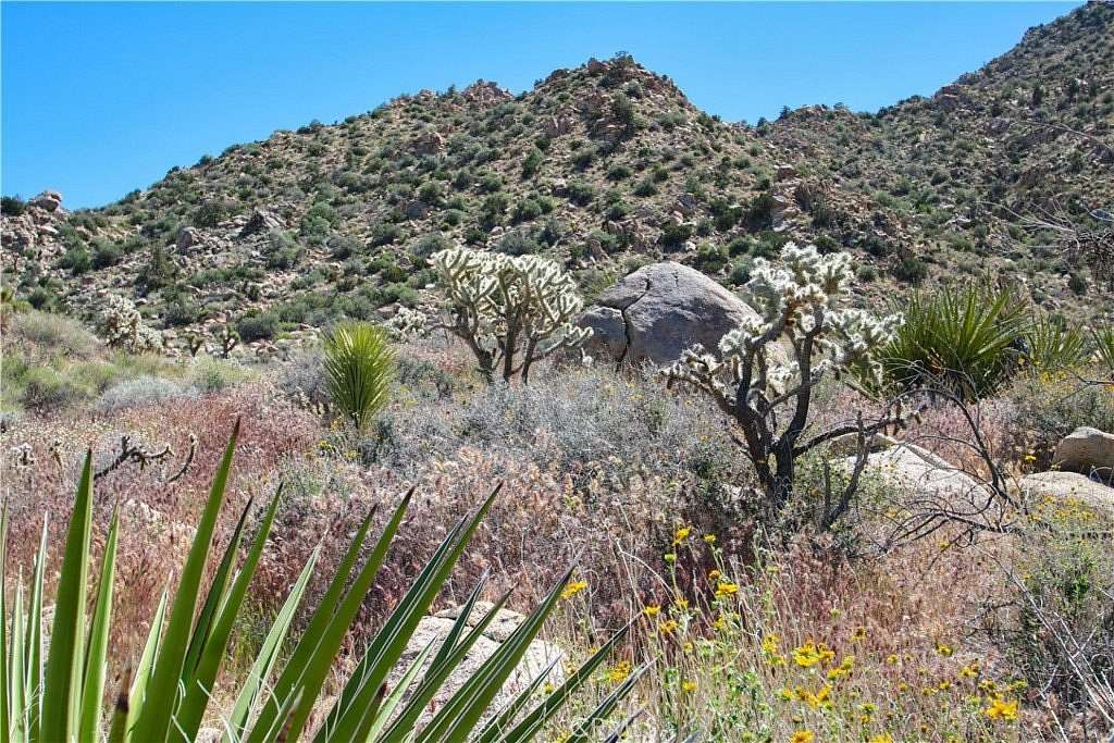 5 Acres of Residential Land for Sale in Joshua Tree, California