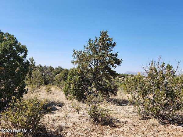 1.62 Acres of Residential Land for Sale in Seligman, Arizona