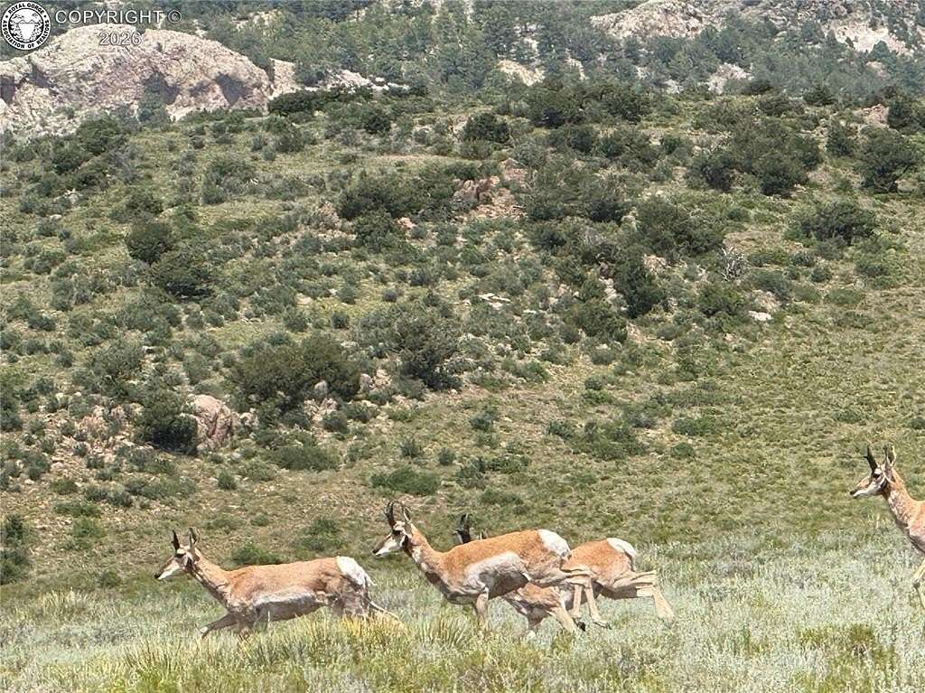 35.3 Acres of Land for Sale in Westcliffe, Colorado