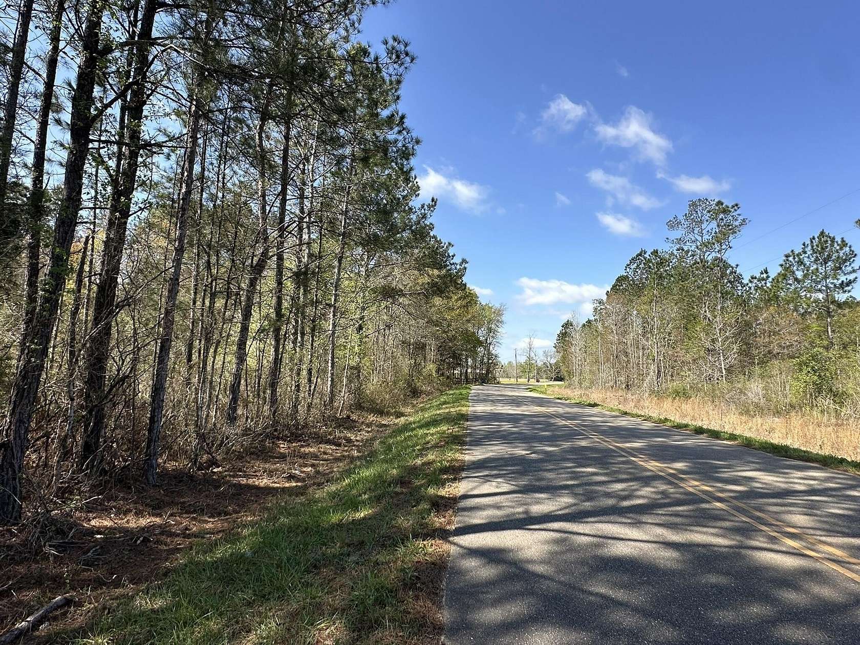 10 Acres of Recreational Land for Sale in Frisco City, Alabama