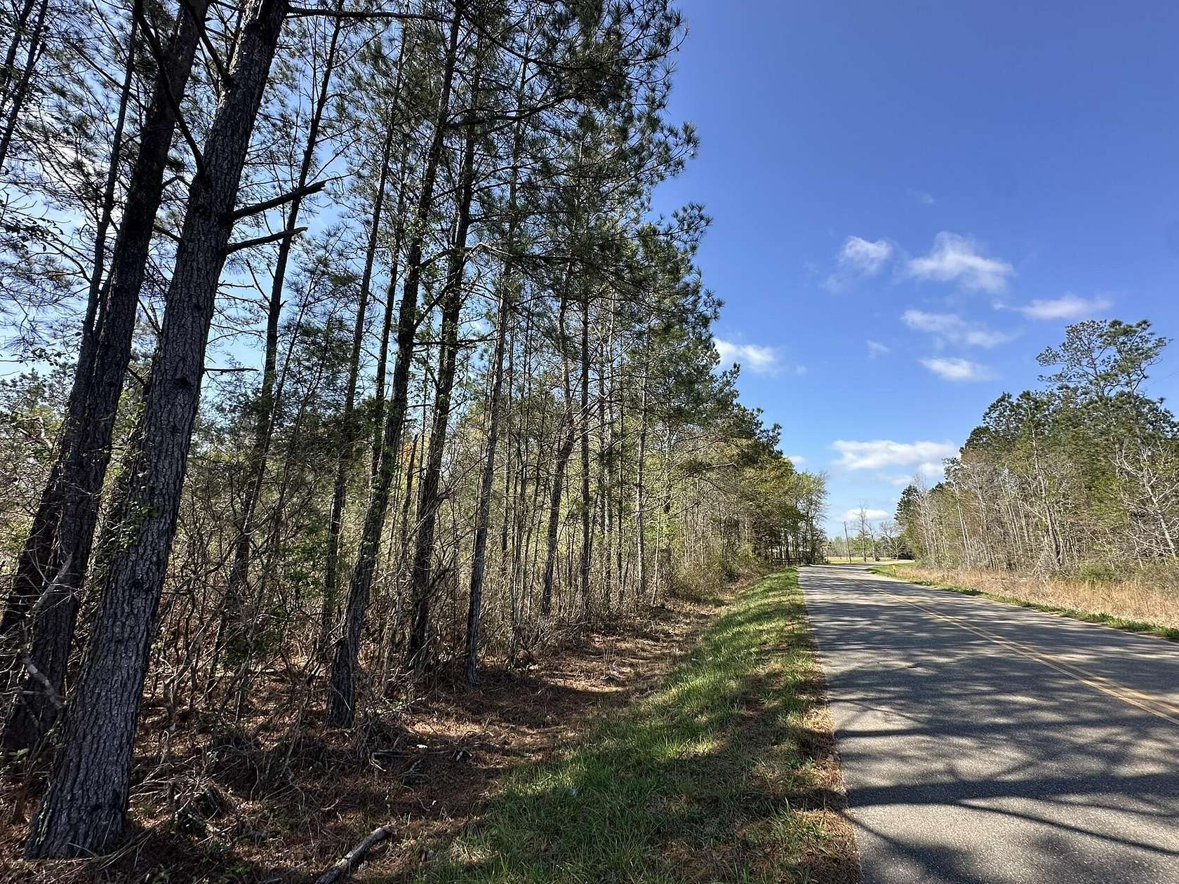 19.7 Acres of Land for Sale in Frisco City, Alabama