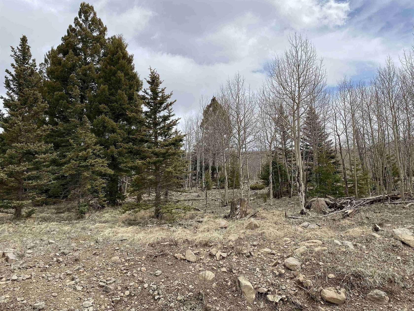 2.85 Acres of Residential Land for Sale in Angel Fire, New Mexico