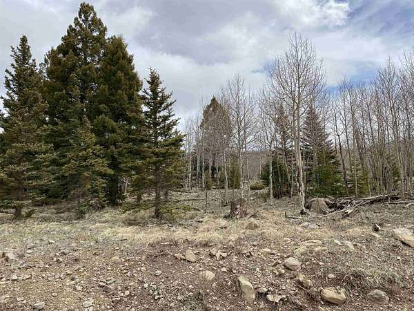 2.85 Acres of Residential Land for Sale in Angel Fire, New Mexico