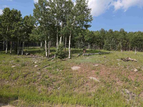 2.85 Acres of Residential Land for Sale in Angel Fire, New Mexico
