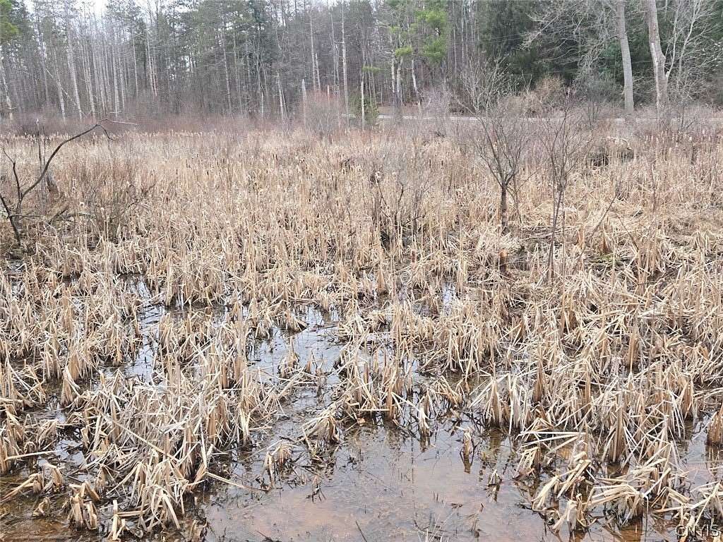 14 Acres of Recreational & Residential Land for Sale in Gainesville, New York