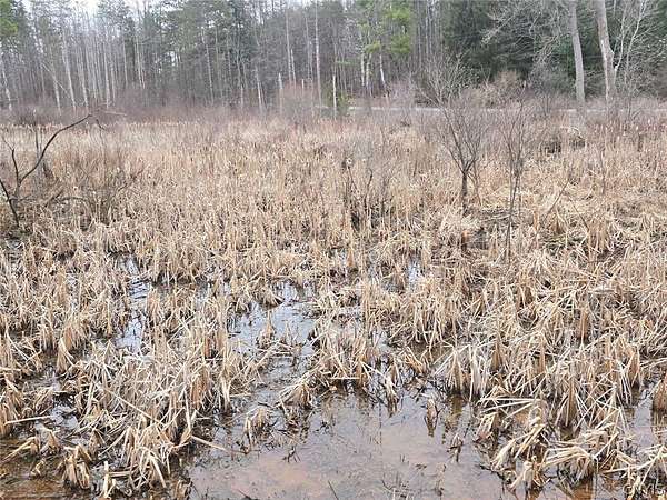 14 Acres of Recreational & Residential Land for Sale in Gainesville, New York