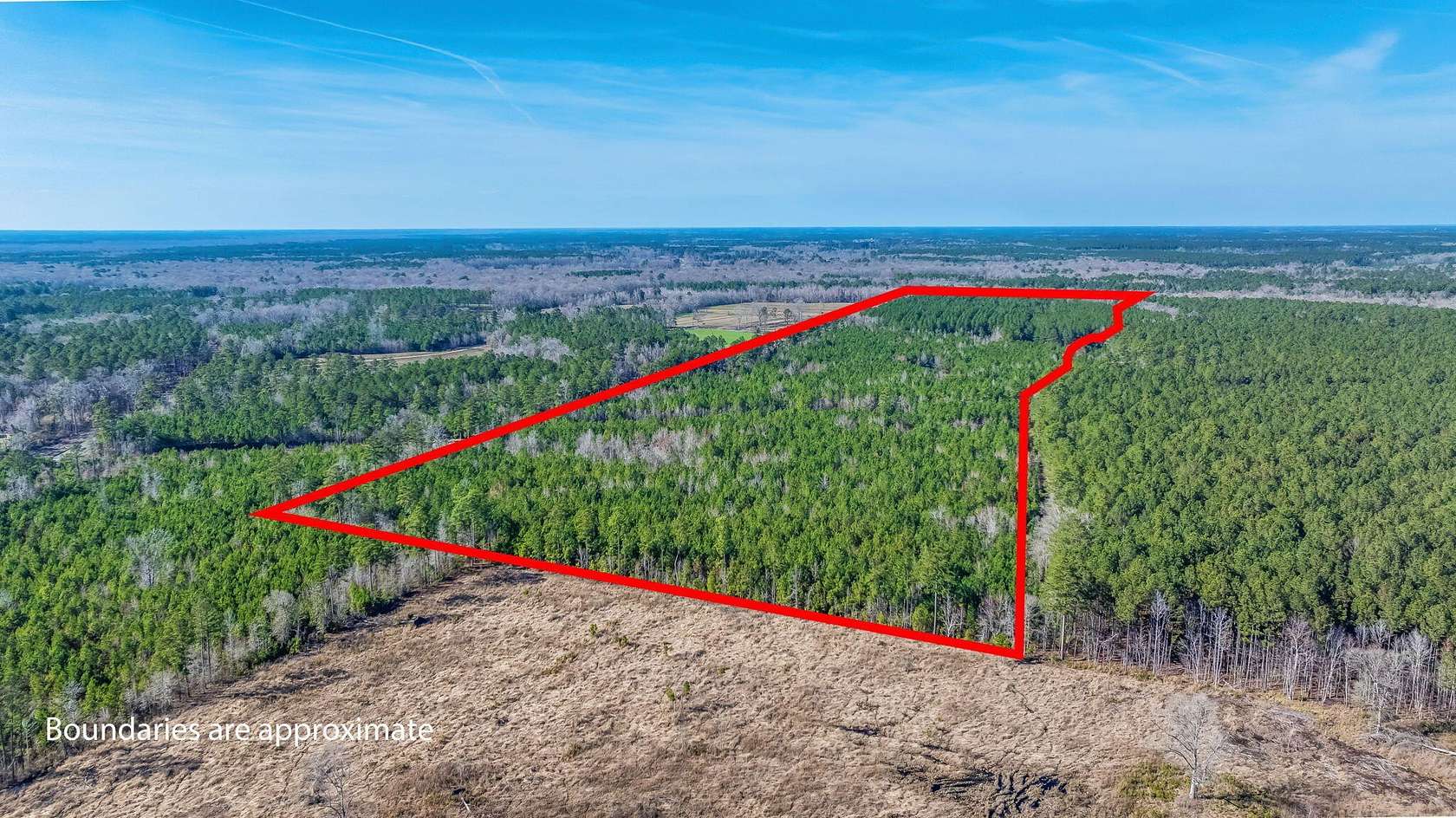 95.9 Acres of Agricultural Land for Sale in Ruffin, South Carolina