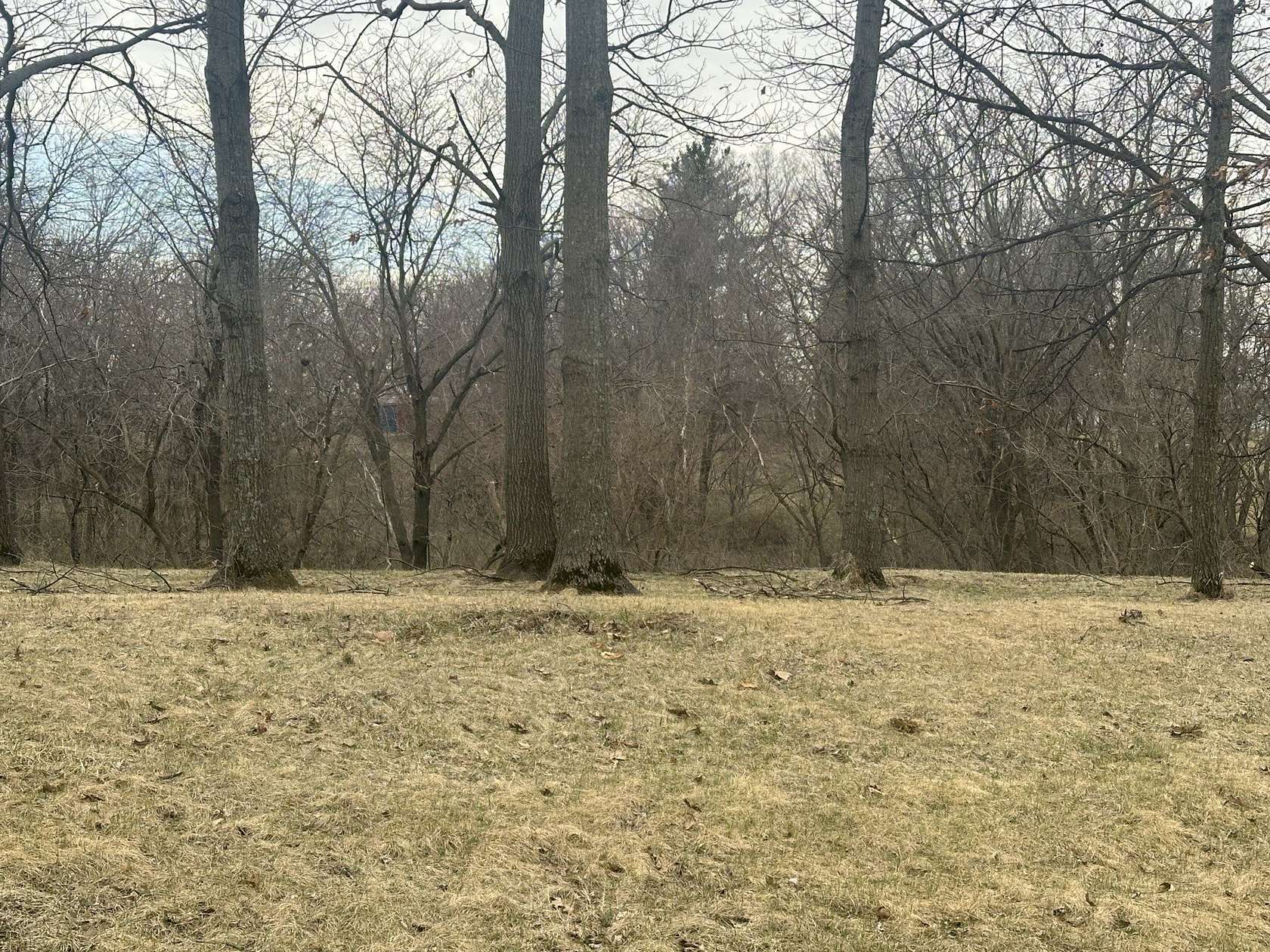 4.15 Acres of Residential Land for Sale in Guthrie Center, Iowa