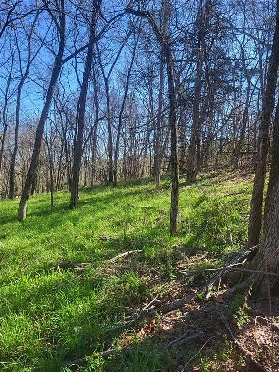 0.34 Acres of Residential Land for Sale in Eureka Springs, Arkansas