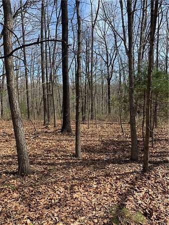 1.47 Acres of Residential Land for Sale in Bella Vista, Arkansas