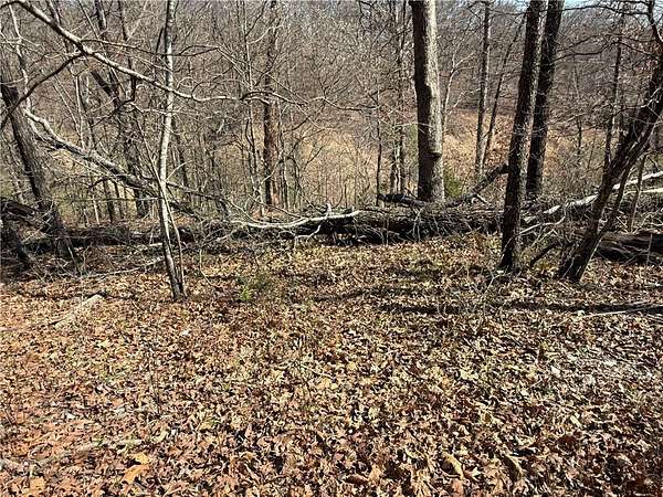 0.31 Acres of Land for Sale in Bella Vista, Arkansas