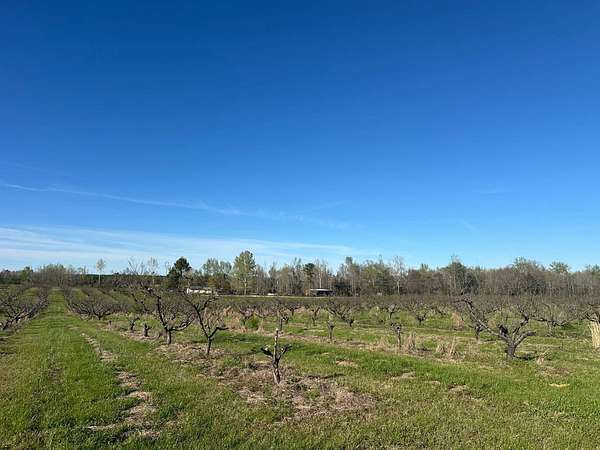 69 Acres of Land for Sale in Maplesville, Alabama
