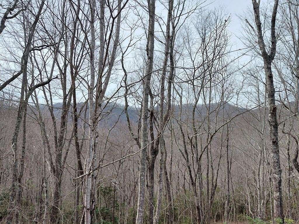 5 Acres of Land for Sale in Bryson City, North Carolina