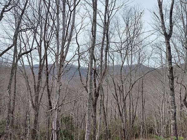 5 Acres of Land for Sale in Bryson City, North Carolina