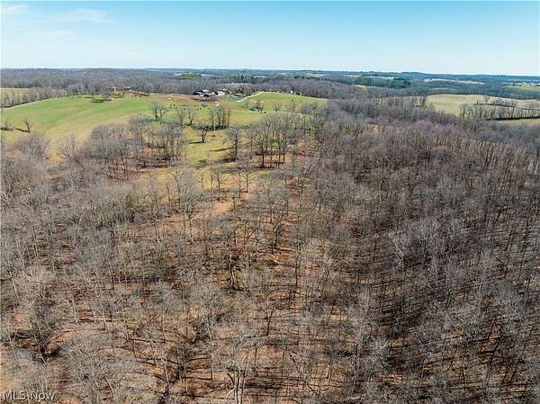 28.2 Acres of Land for Auction in Jewett, Ohio