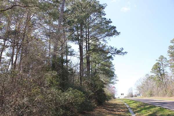57 Acres of Recreational & Residential Land for Sale in Broaddus, Texas