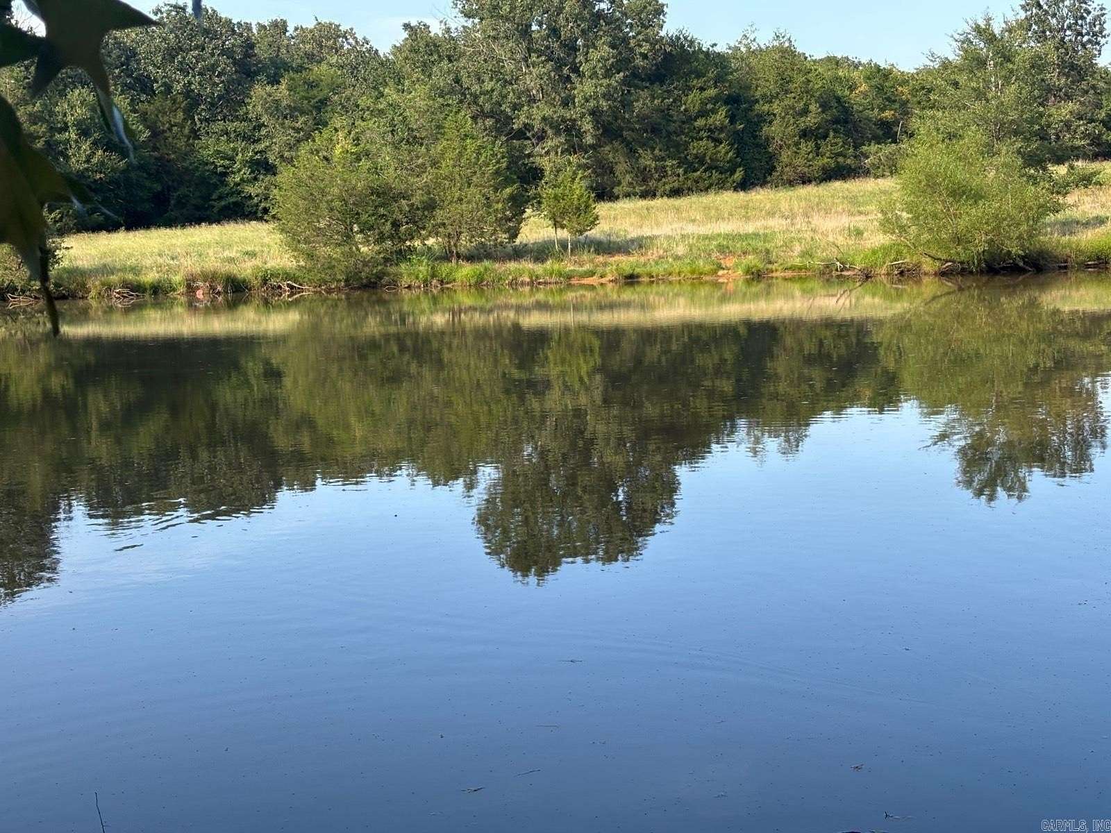 30 Acres of Land for Sale in Saffell, Arkansas